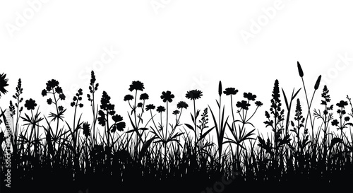 Black silhouette of various meadow flowers, tall grass, and wild plants forming a dense horizontal border against a white background.