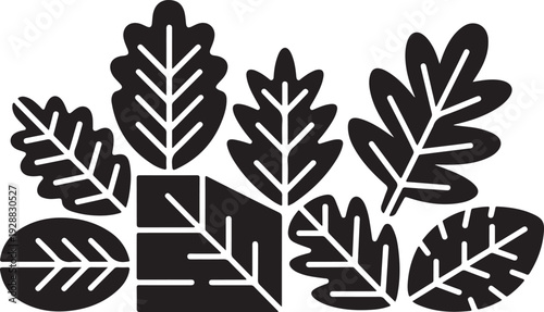Various leaves foliage plant shapes black abstract natural organic elements