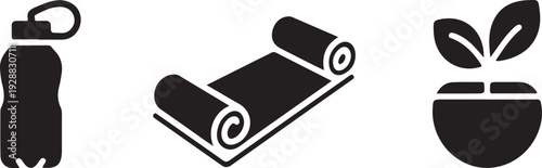 Fitness and wellness items water bottle yoga mat and plant for healthy living