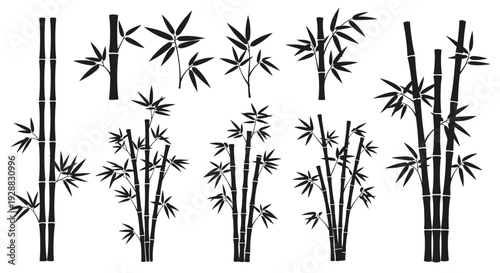 Collection of various bamboo plant silhouettes showing stalks and leaves in different arrangements for oriental design styles.