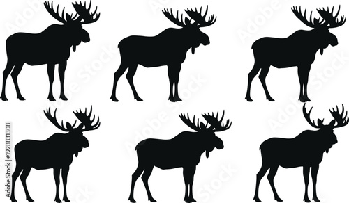 Moose silhouettes with antlers in profile poses, wildlife illustration, forest animal icons, hunting design elements, nature vector collection