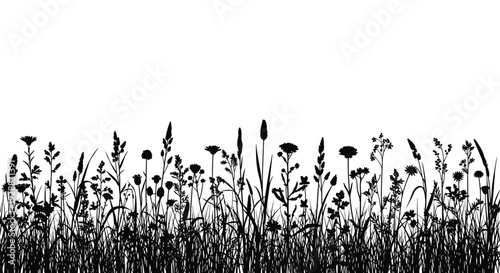 Detailed black silhouette of a meadow filled with various wild flowers, weeds, and tall grasses for nature borders.