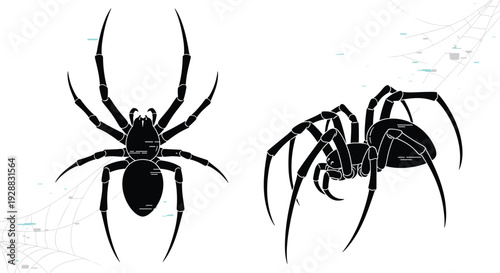 Two detailed black spider silhouettes depicted from different angles on a subtle web background for realistic appearance.