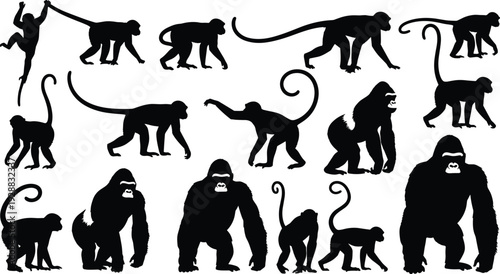Sixteen primate silhouettes including monkeys and gorillas in varied poses, minimalist vector illustration for zoology design, animal anatomy, wildlife art