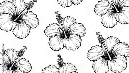 Set of 7 hibiscus flowers vector illustrations