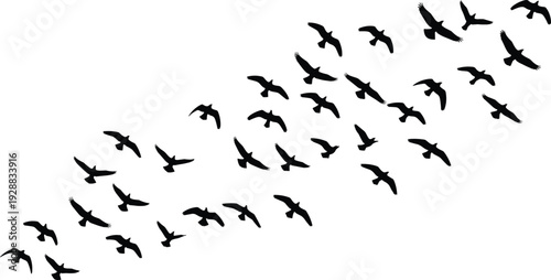 Stylized flock of birds flying in diagonal formation, black silhouette design, artistic wildlife illustration, nature theme, coordinated group motion artwork