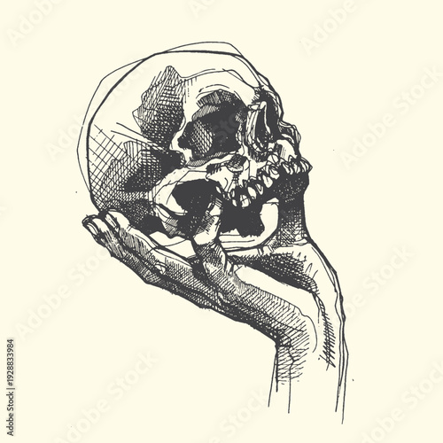 Artist's hand sketches a human skull in a detailed, vintage pen and ink style, evoking mortality and art.