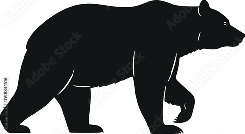 Black silhouette of bear walking on all fours, muscular build side profile, wildlife animal nature illustration design concept