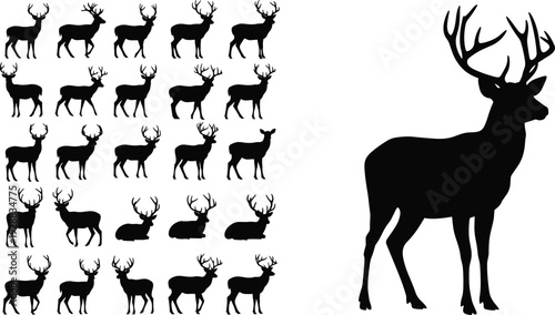 Black silhouette vector illustration featuring multiple deer poses, antler variations, upright stag, wildlife design, animal shapes, hunting motifs, decorative artwork