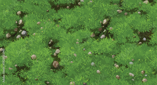 Top-down view of a lush green grass field with scattered stones and pebbles creating a detailed and organic natural texture.