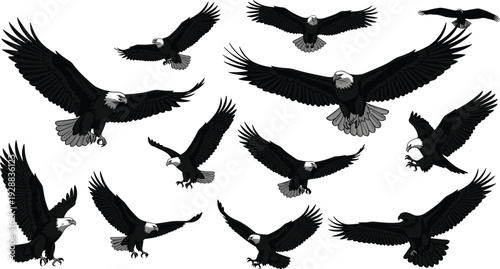 Vector illustration of bald eagles in dynamic flight poses symbolizing freedom, strength, wildlife, culture, education, and artistic values