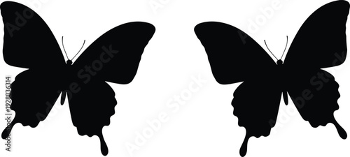 Vector illustration of butterfly silhouettes symbolizing nature, beauty, transformation, culture, education, conservation, and artistic values