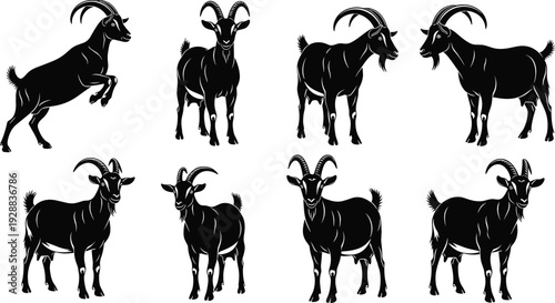 Black Chicken Silhouette Pair Facing Each Other Farm Poultry Illustration Isolated on White Background for Agriculture, Livestock, and Rural Design