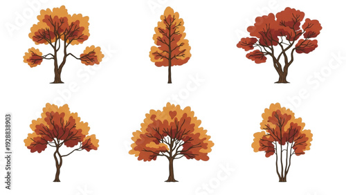 Collection of autumn trees with vibrant foliage displayed from various viewpoints