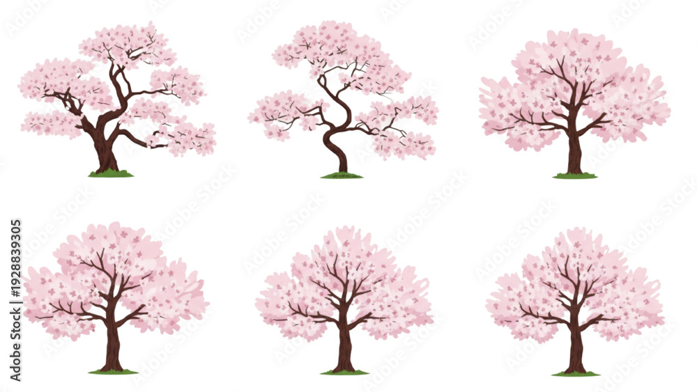 Obraz premium Collection of cherry blossom trees in full bloom from a frontal viewpoint
