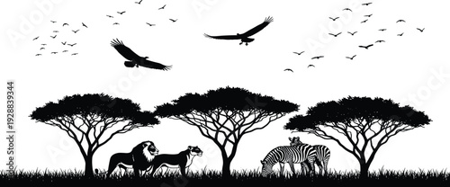 African savanna silhouette with lions, zebras, acacia trees, and flying predatory birds, safari nature landscape scene isolated on white background.