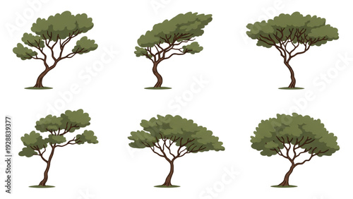 Collection of trees with varying shapes and foliage density