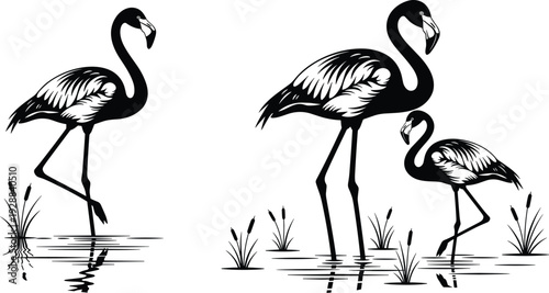 Black and white flamingo silhouette set, tropical bird vector standing in water with reeds, stylized exotic animal mascot logo designs.