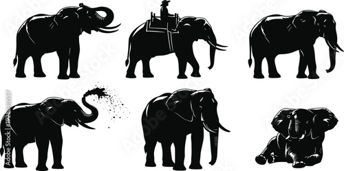 Black and white elephant silhouette set featuring a collection of six wild african elephants in various poses isolated on white.