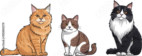 Three cute domestic cats sitting together, different breeds pet animal vector illustration isolated on white background