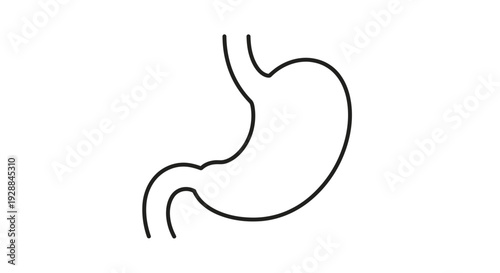 Simple Outline Drawing of a Human Stomach, a Vital Organ for Digestion and Metabolism Health