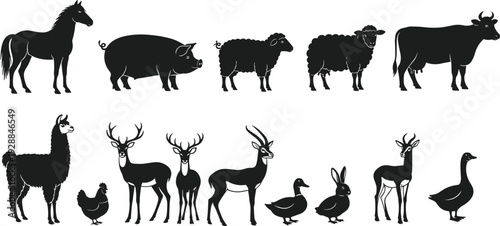 Farm and Wild Animal Silhouette Collection, Livestock and Woodland Vector Set, Nature Icons, cad drawing flat vector illustration, Rural Wildlife