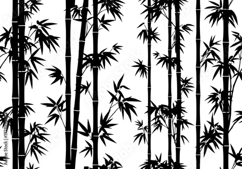 Bamboo trees silhouetted against a stark white background in a serene forest scene viewed from a distance