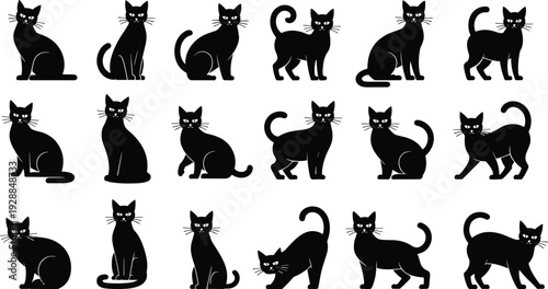 Collection of diverse cat silhouettes in sitting, standing, and walking poses showing feline behavior, posture, and lifestyle vector design