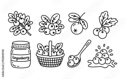Lingonberry vector illustration set with various icons and objects