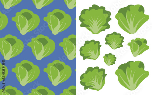 Lettuce vegetable icons and seamless pattern illustration