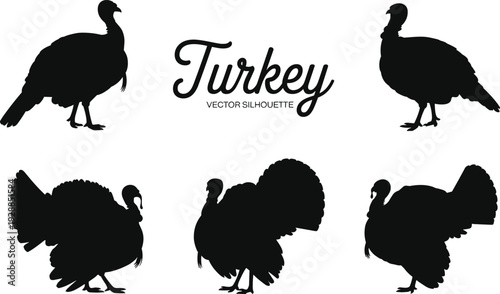 Set of black turkey vector silhouettes featuring domestic farm birds in various standing and strutting poses for Thanksgiving holiday designs and autumn poultry graphics
