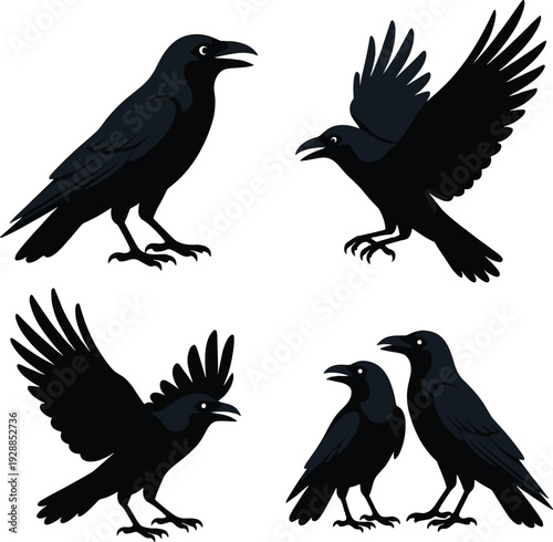 Crow and raven silhouette set isolated on white background, black flying and standing birds collection, wildlife avian vector illustration for logo design