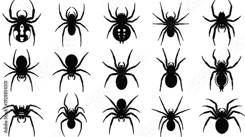 Spider silhouette collection, arachnid set, cad drawing flat vector illustration, insect icon, black widow tarantula isolated on white background, nature, pest.