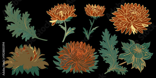 Vintage botanical illustration featuring chrysanthemums and fern foliage