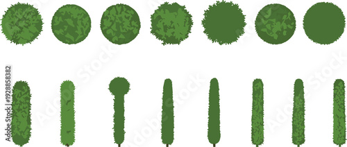 Stylized tree vector illustration with diverse canopy and trunk designs, botanical aerial and side views, decorative landscape motifs, creative educational artwork