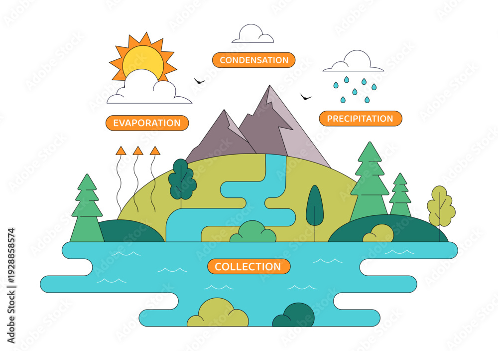Φωτογραφία Water Cycle Vector Illustration Featuring Evaporation, Condensation, Precipitati