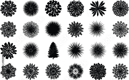 Tree canopy silhouette vector illustration with diverse foliage shapes, botanical landscape elements, ecological decorative patterns, creative educational design motifs for architectural visualization