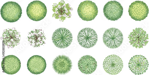 Tree canopy vector illustration with diverse foliage patterns, botanical aerial views, decorative landscape motifs, creative educational design elements for architectural planning projects