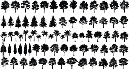 Tree silhouette collection, deciduous, coniferous, palm, ornamental species, forest design elements, landscape vector illustration, environmental graphics, nature biodiversity art