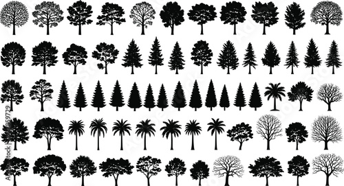 Tree silhouette illustration collection, diverse forest shapes, deciduous, coniferous, and palm foliage patterns for botanical and design projects