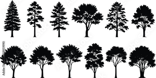 Tree silhouette vector illustration with diverse coniferous and deciduous canopy designs, botanical decorative motifs, creative artistic educational elements for landscape projects