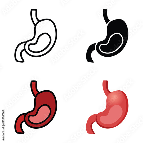 Human Stomach Anatomy Icon Set Vector Design