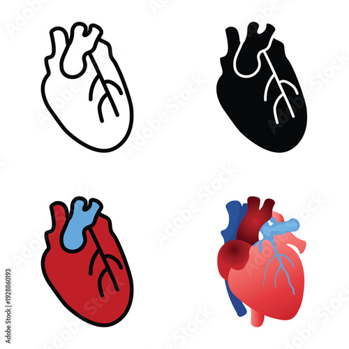 Human Heart Anatomy Icon Set Vector Design