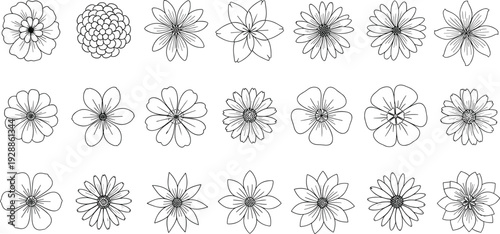 Vector illustration of diverse floral designs, black and white flower patterns, botanical motifs, decorative blossoms, artistic ornamental elements, abstract symmetry