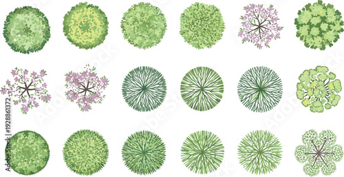 Colorful tree canopy vector illustration with diverse foliage patterns, botanical aerial views, decorative landscape motifs, creative educational design elements for architectural projects