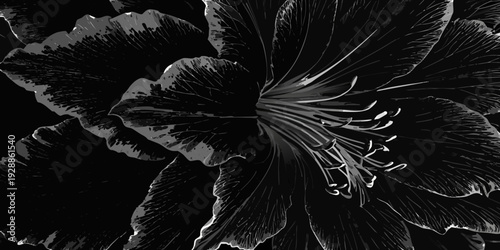 Dramatic black and white close up of a blossoming flower