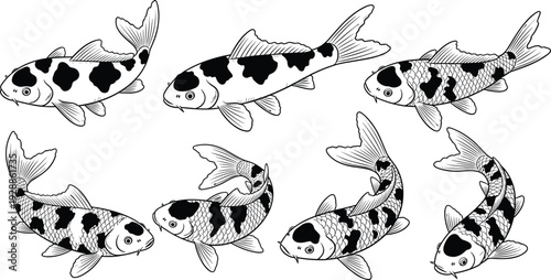 Vector illustration of koi fish designs, black and white ornamental patterns, detailed scales, cultural symbolism, aquatic decorative motifs, artistic pond elements
