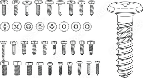 Vector illustration of screws and bolts, detailed fastener designs, threading styles, head types, mechanical hardware elements, construction tool components