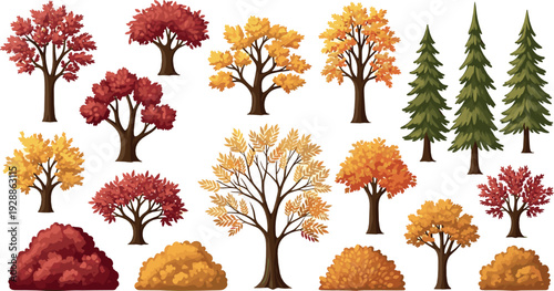 Autumn trees vector illustration set with red, yellow and orange fall foliage and evergreen pine collection