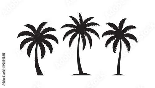 black color palm tree set of silhouette vector illustration, solid white background